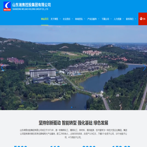 山东潍焦控股集团有限公司