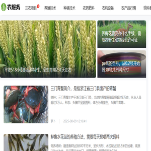 农服务