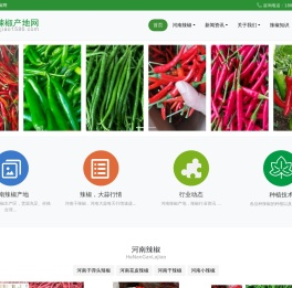 河南辣椒产地网