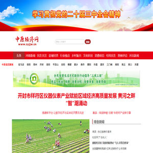 中原经济网