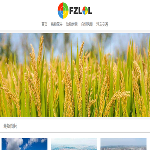 非主流图片站