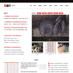 查猪价网