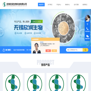 大鼠骨髓内皮祖细胞