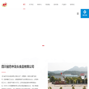 四川省巴中龙头食品有限公司