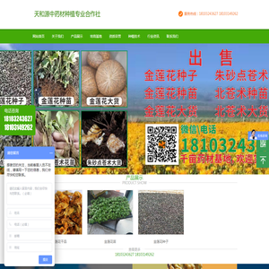 围场满族蒙古族自治县天和源中药材种植专业合作社金莲花