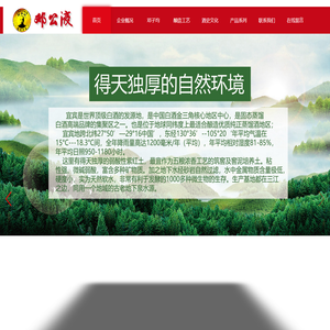 邓公液