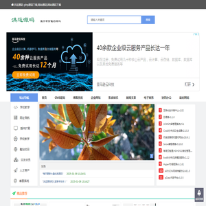 洪运源码