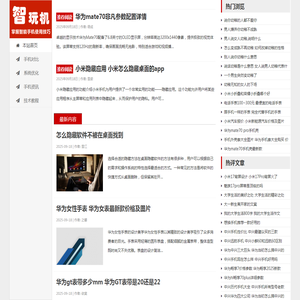 智玩机