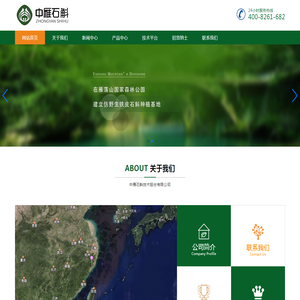 中雁石斛技术股份有限公司