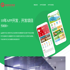 APP开发公司