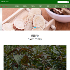 四川省中药饮片有限责任公司