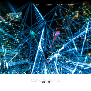 成都市大玩家网络科技有限公司