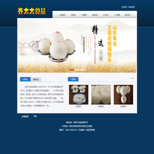 沈阳齐太食品有限公司