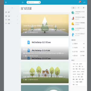 放飞的流星