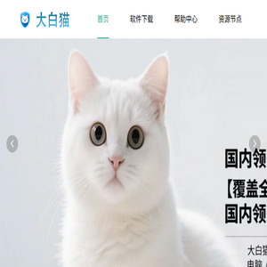 泳装网