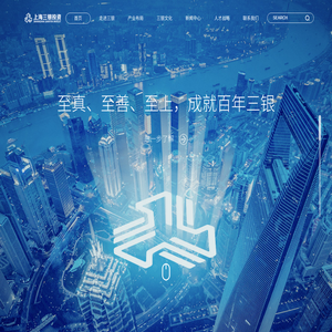 上海三银投资管理有限公司