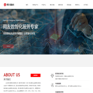 山东得川数智科技有限公司
