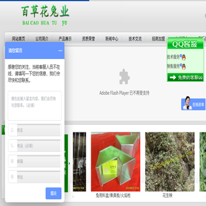 百草花兔业