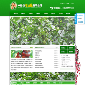 樱桃树苗