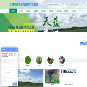 沈阳市辽中区天蓝草坪繁植场