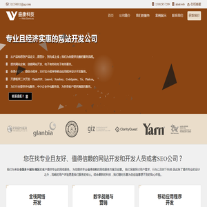 专业且经济实惠的网站开发公司