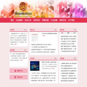 湖南省网络视听协会