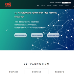 企业组网