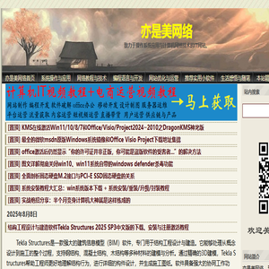 亦是美网络