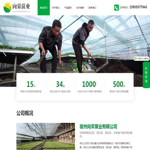 宿州向荣苗业有限公司