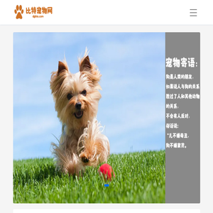 比特宠物吧
