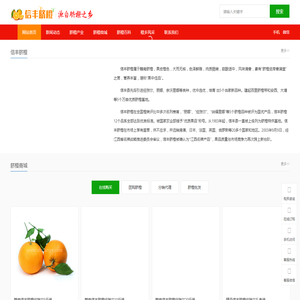 信丰脐橙网