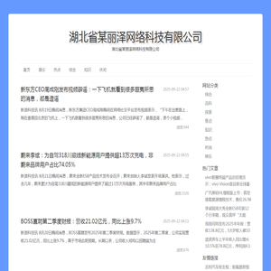 湖北省某丽泽网络科技有限公司