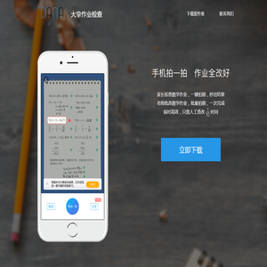大拿作业检查