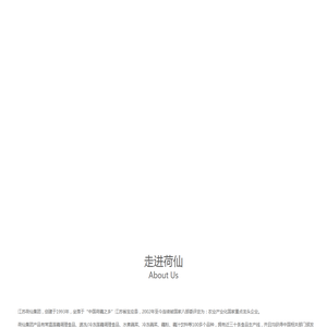 江苏荷仙食品集团有限公司