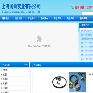 上海润狮实业有限公司