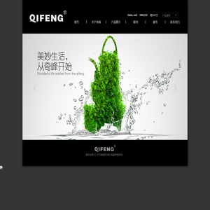 浙江奇峰泵业有限公司