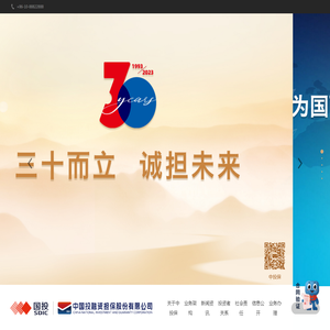 中国投融资担保股份有限公司