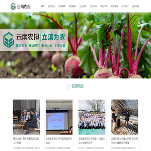 云南农担