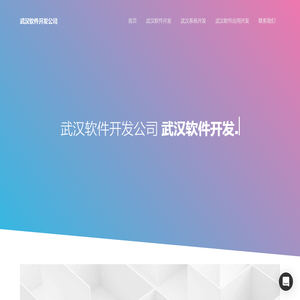武汉软件外包公司