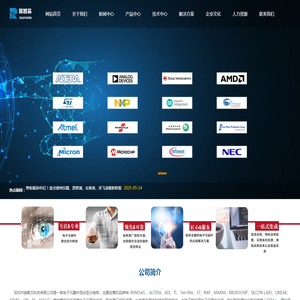 深圳市瑞智芯科技有限公司