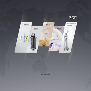 GSD(吉斯迪)全球医疗美容仪器设备服务商