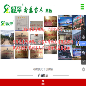 隆德县鑫磊苗木专业合作社