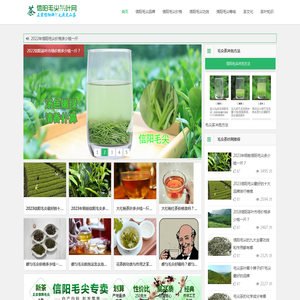 信阳毛尖价格