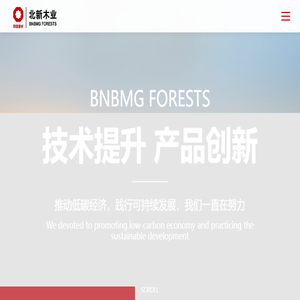北新国际木业有限公司