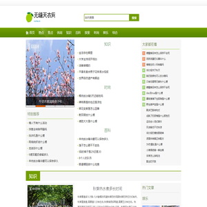 无缝天衣网