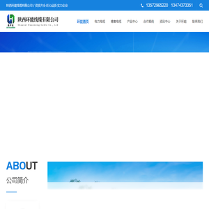 陕西国标电缆厂家