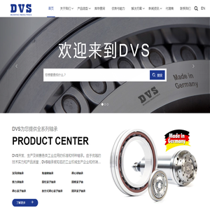 DVS集团