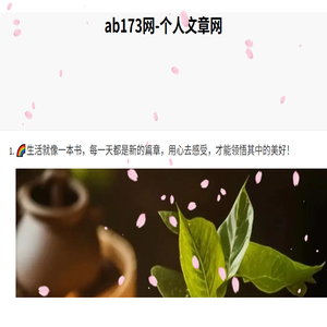 173软件站