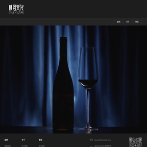 麒月文化传媒