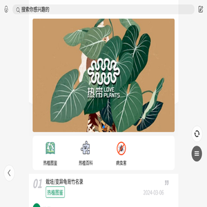 热带loveplants